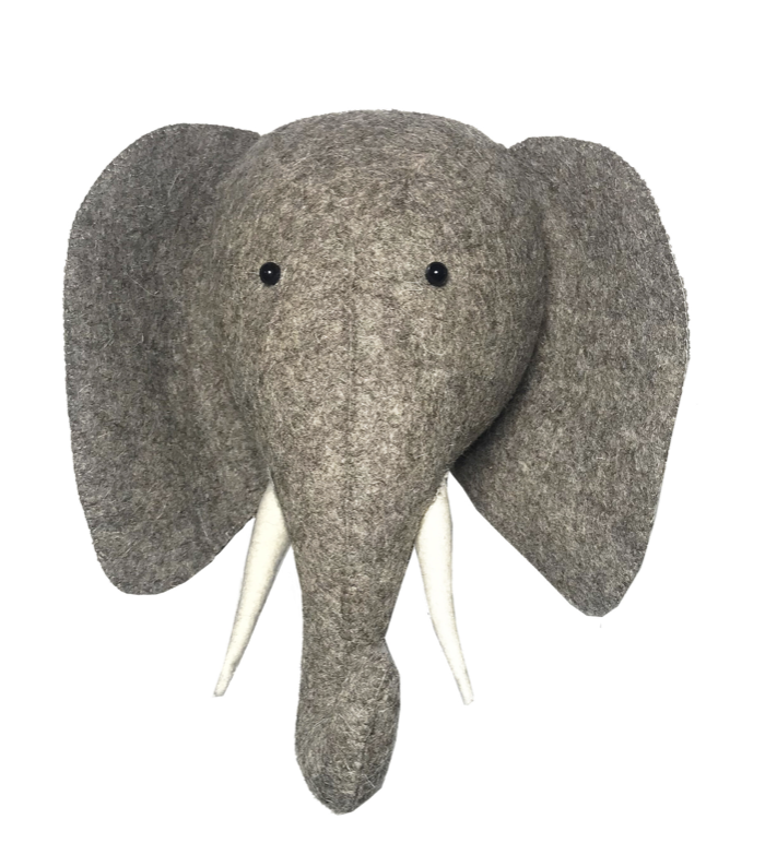 Fiona Walker - Grey Elephant Head (Semi) – Kid's Anthem